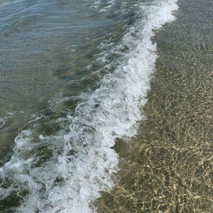 Meet your Posher, Kylie